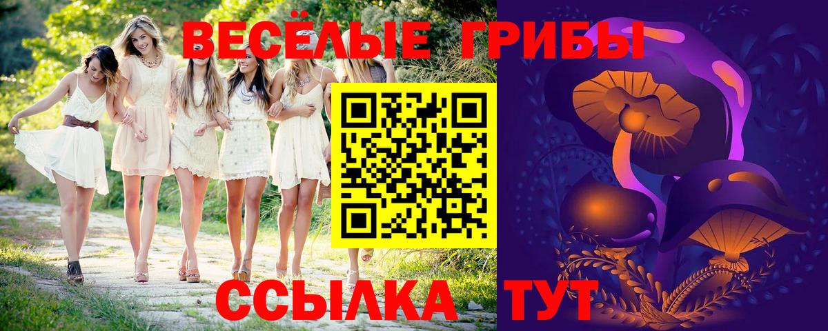 Галлюциногенные грибы GOLDEN TEACHER Котовск