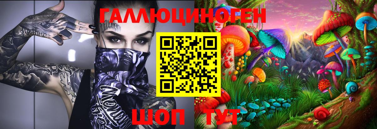 Котовск  Псилоцибиновые грибы Psilocybe  Вход с VPN 